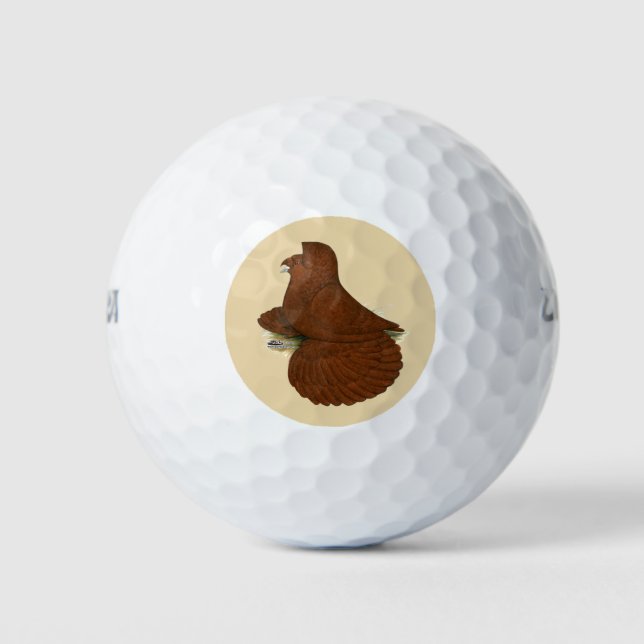 Trumpeter Pigeon Red Golf Balls (Front)