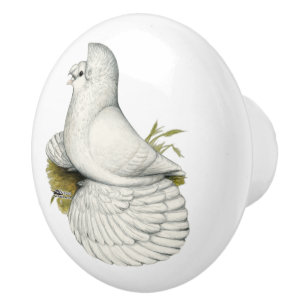 Trumpeter Pigeon White Ceramic Knob
