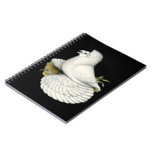 Trumpeter Pigeon White Notebook