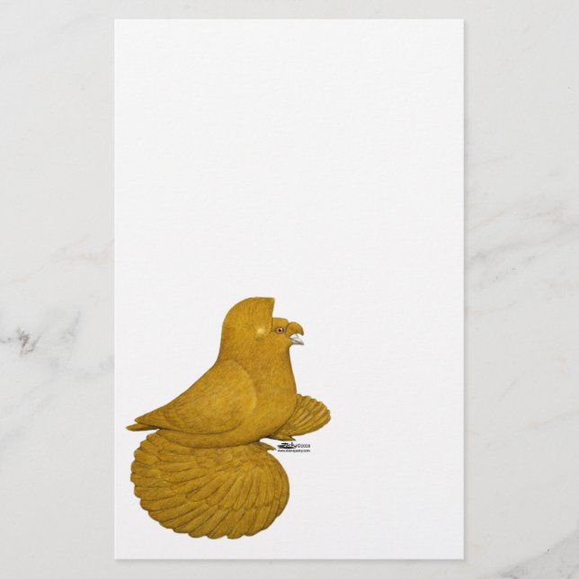 Trumpeter Pigeon Yellow (Front)