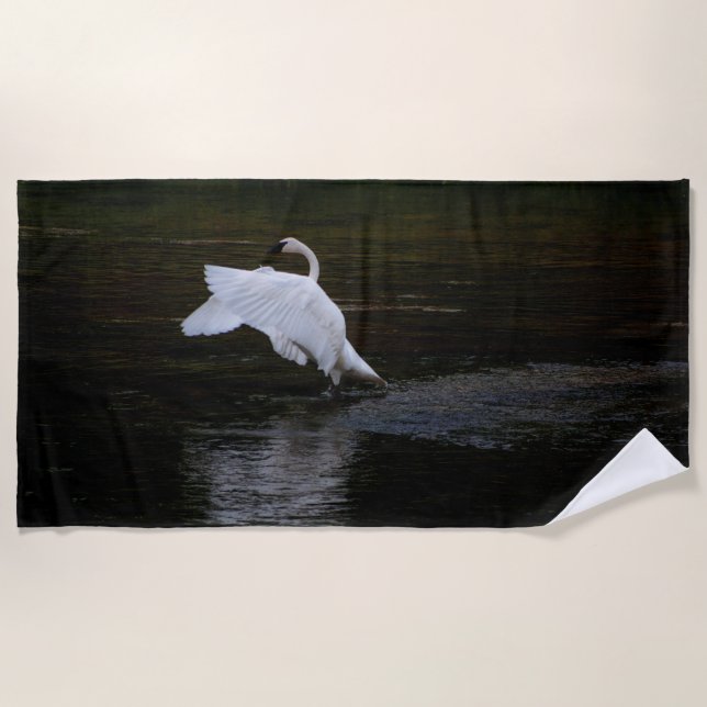 Trumpeter Swan Beach Towel (Front)