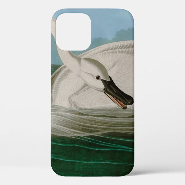 Trumpeter Swan Birds of America Audubon Print Case-Mate iPhone Case (Back)