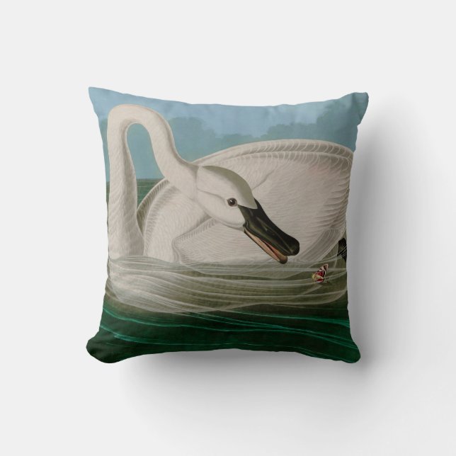 Trumpeter Swan Birds of America Audubon Print Cushion (Front)