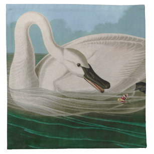 Trumpeter Swan Birds of America Audubon Print Napkin