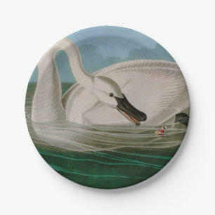 Trumpeter Swan Birds of America Audubon Print Paper Plate