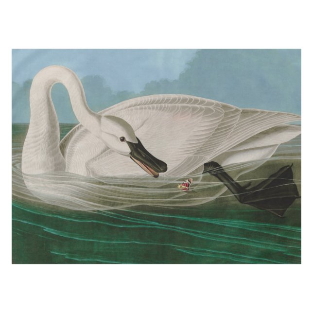 Trumpeter Swan Birds of America Audubon Print Tablecloth (Front (Horizontal))