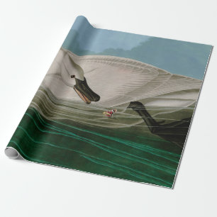 Trumpeter Swan Birds of America Audubon Print Wrapping Paper