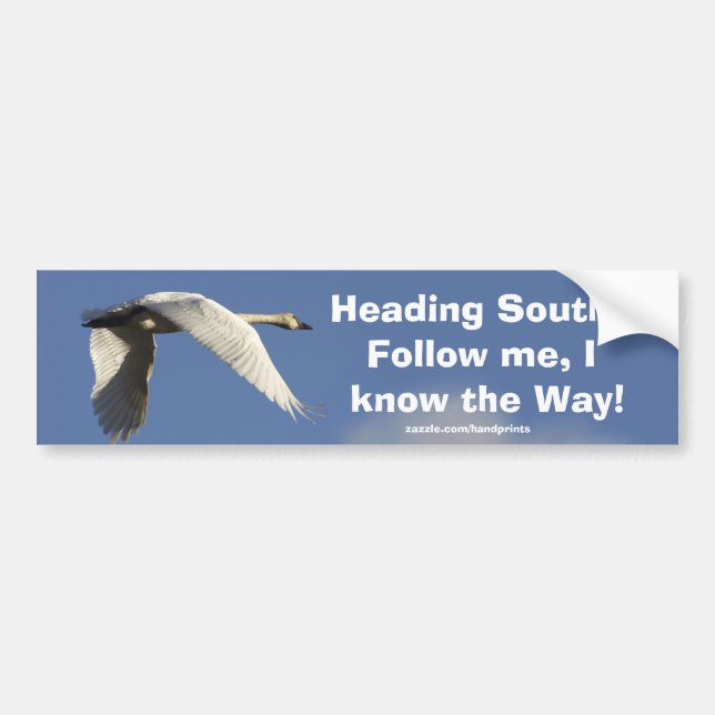 Trumpeter Swan Bumpersticker Bumper Sticker (Front)