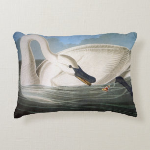 Trumpeter swan by John James Audubon Decorative Cushion