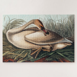 Trumpeter Swan by John James Audubon   Jigsaw Puzzle