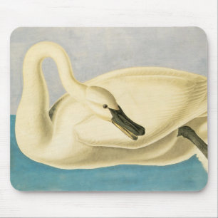 Trumpeter Swan by John James Audubon, Vintage Bird Mouse Mat