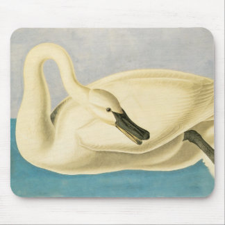Trumpeter Swan by John James Audubon, Vintage Bird Mouse Mat