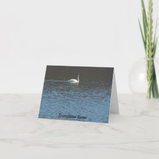 Trumpeter Swan Card