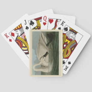 Trumpeter Swan - from Audubon's Birds of America Playing Cards