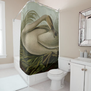 Trumpeter Swan - from Audubon's Birds of America S Shower Curtain