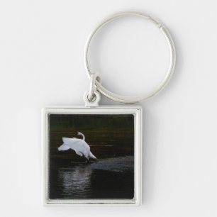 Trumpeter Swan Key Ring