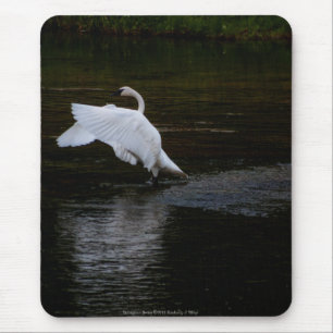 Trumpeter Swan Mouse Mat
