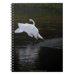 Trumpeter Swan Notebook