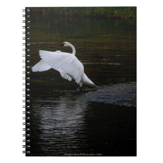 Trumpeter Swan Notebook (Front)