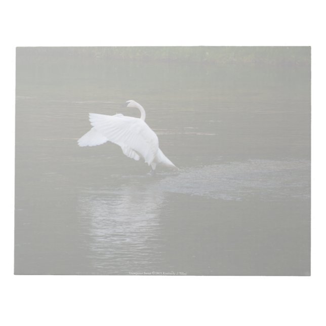 Trumpeter Swan Notepad (Front)