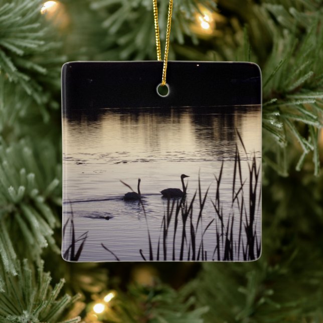 Trumpeter Swan Ornament (Tree)