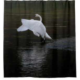 Trumpeter Swan Shower Curtain