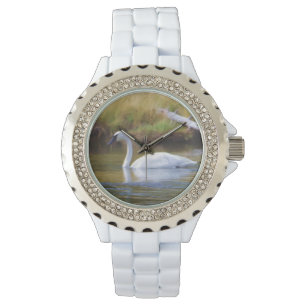 Trumpeter Swan Watch
