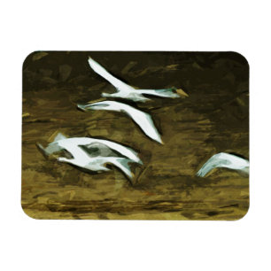 Trumpeter Swans in Flight Abstract Impressionism Magnet