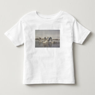 Trumpeter Swans in the Madison River in winter Toddler T-Shirt
