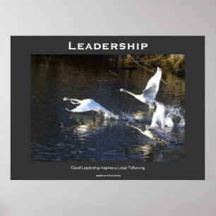 Trumpeter Swans Motivational Poster