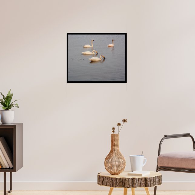 Trumpeter Swans Poster (Living Room 3)