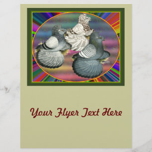 Trumpeters Pigeons Three Flyer
