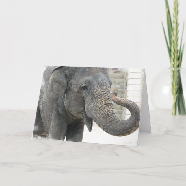 Trumpeting Elephant Greeting Card (Front)