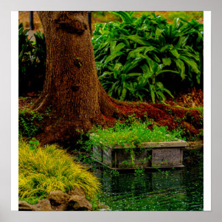 Trunk and Water Poster