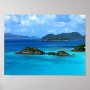 Trunk Bay Poster