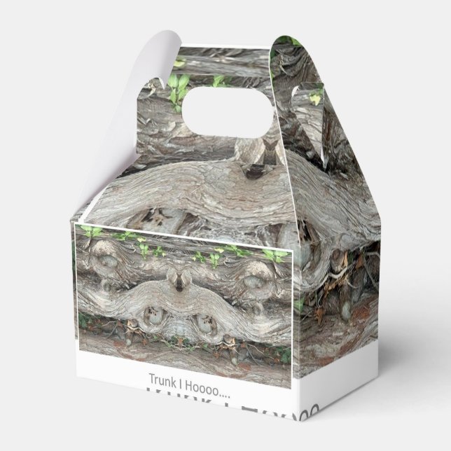 Trunk I Hooo... Favour Box (Front Side)