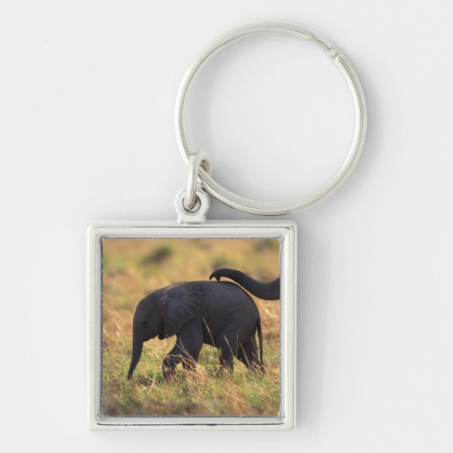 Trunk of elephant touching offspring , Kenya , Key Ring (Front)