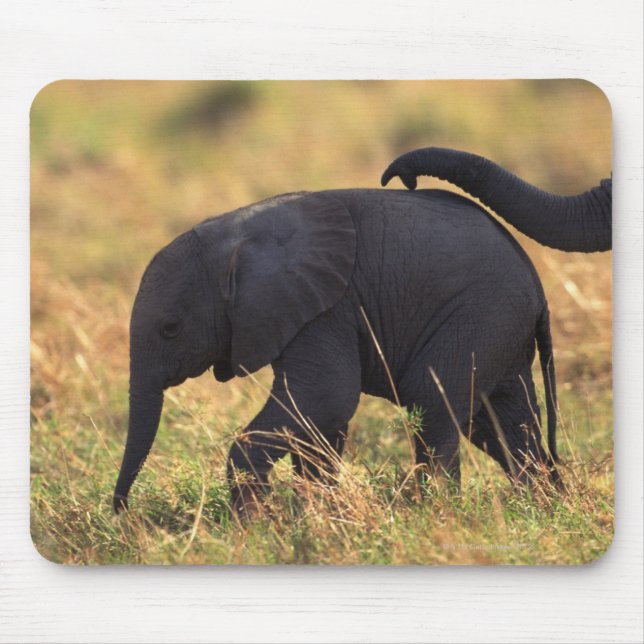 Trunk of elephant touching offspring , Kenya , Mouse Mat (Front)
