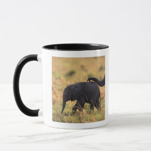 Trunk of elephant touching offspring , Kenya , Mug