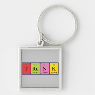 Trunk periodic table keyring