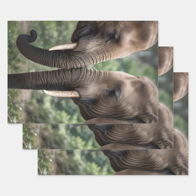 "Trunk to Trunk: A Gentle Elephant Embrace"  Wrapping Paper Sheet (Set)