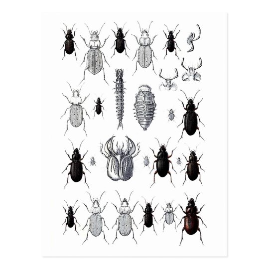 Truppe von alien postcard