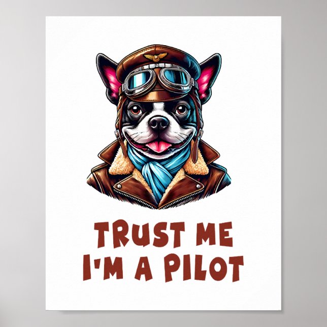 Trust Me, I'm A Pilot Poster (Front)
