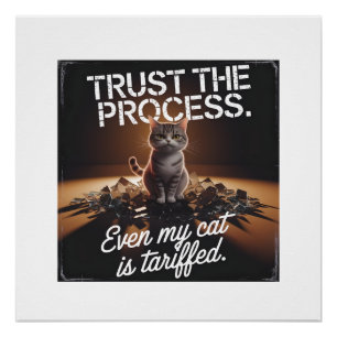 Trust The Process Cat Office Humour Meme Poster