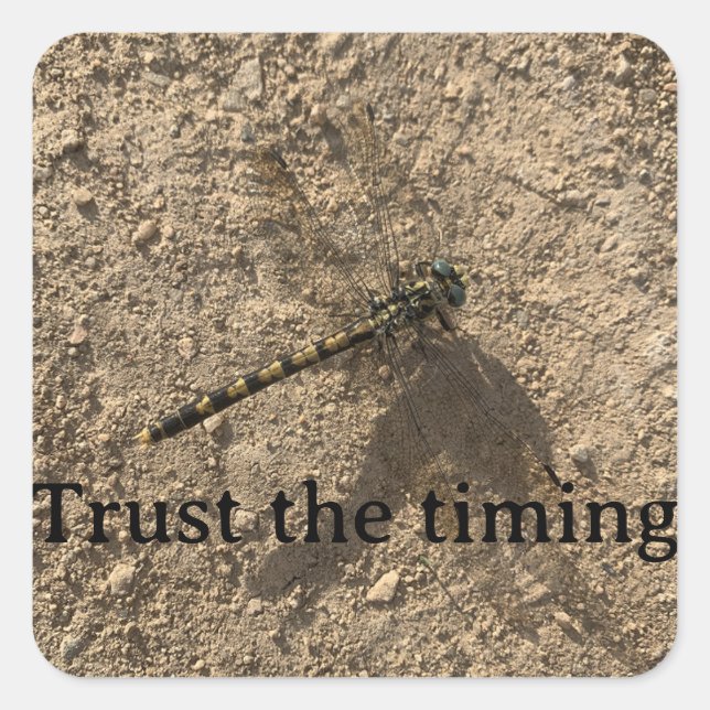 Trust the Timing Sticker (Front)