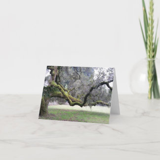 Trusted tree with strong branches outstretched thank you card