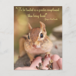 Trusting Chipmunk Postcard