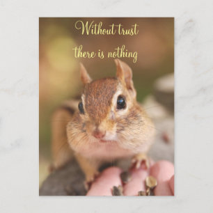 Trusting Chipmunk Postcard
