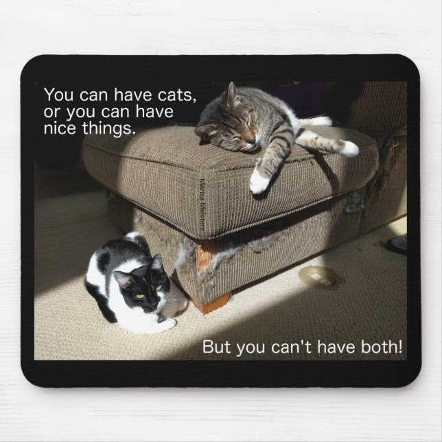 Truth in Cat-vertising Cat Meme Mouse Pad (Front)