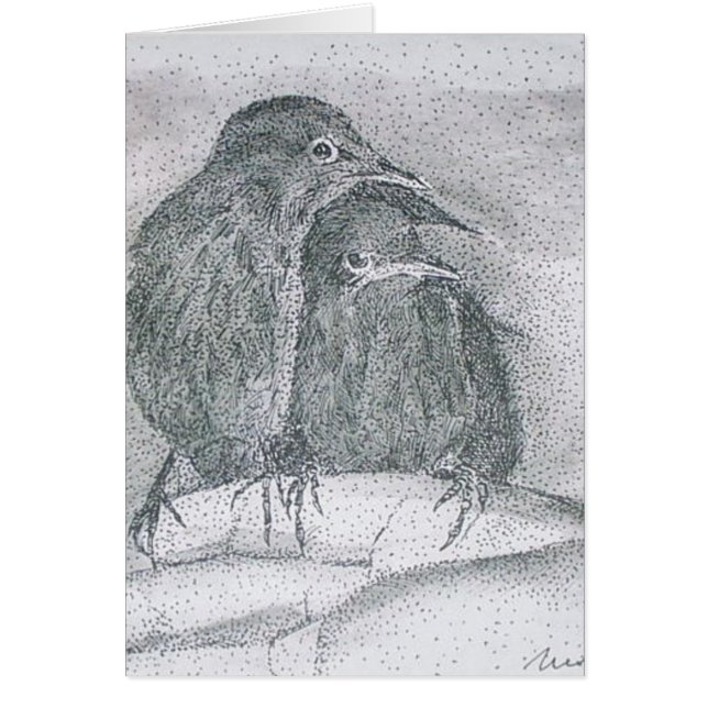 truvey's starlings (Front)